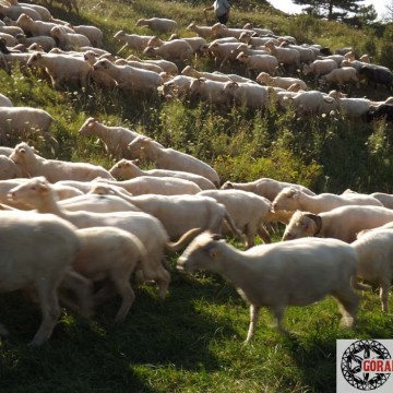 Kapela góralska