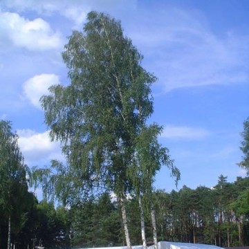 Kapela góralska