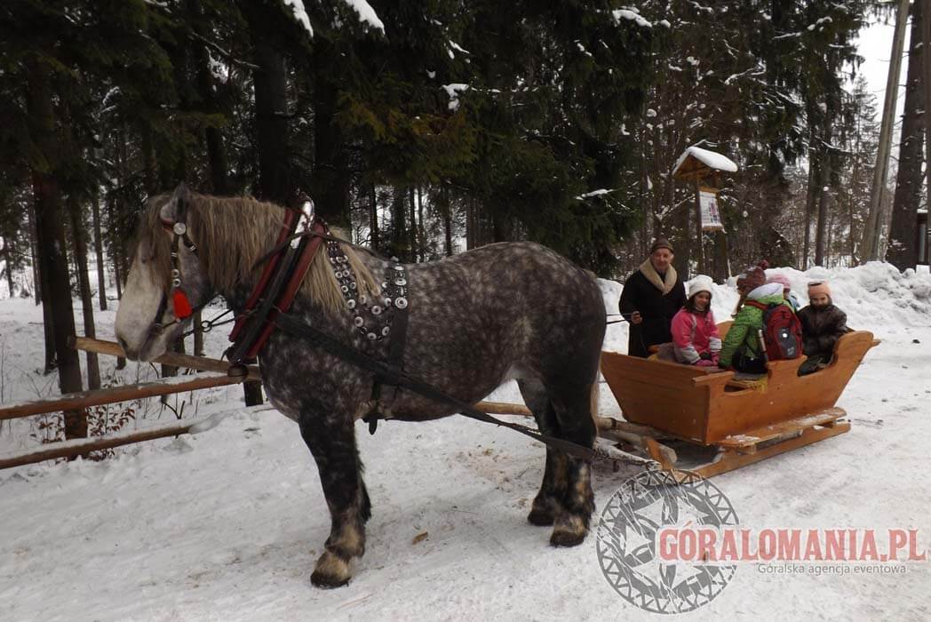 Kuligi dla dzieci w Soblówce Realizacje Napady zbójnickie